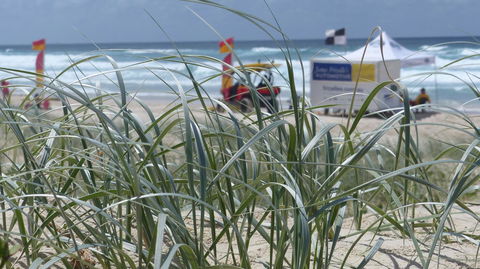 SaltBeach2302 - Local Tourism 14