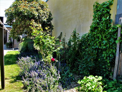 Apple Tree Cottage - Accommodation Australia 24