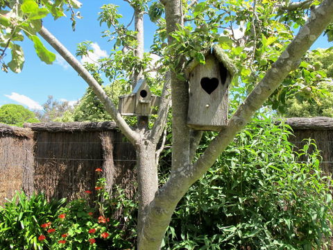 Apple Tree Cottage - Accommodation Australia 28