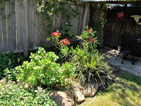 Apple Tree Cottage - Accommodation Australia 26