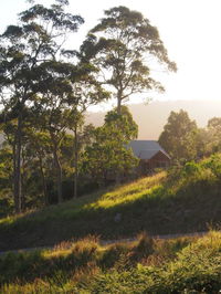 Book Bawley Point Accommodation Vacations Accommodation Australia Accommodation Australia