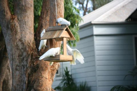 Huskisson Holiday Motel Cabins - Accommodation Australia 29