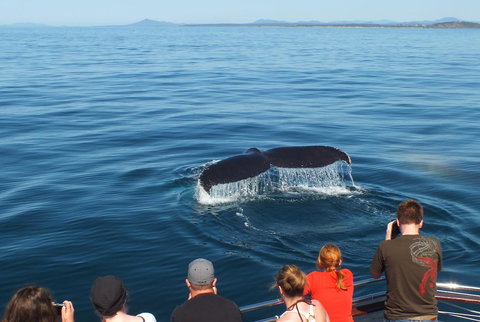 Pacific Marina Apartments - Accommodation Australia 34