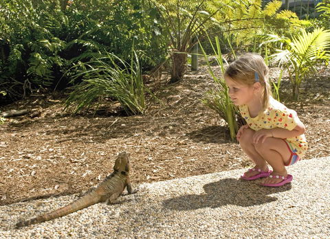 Flynns Beach Resort - Accommodation Australia 16