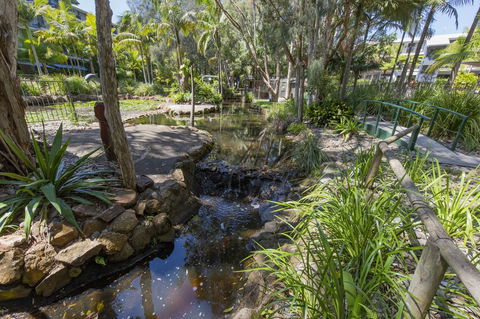 Flynns Beach Resort - Accommodation Australia 13