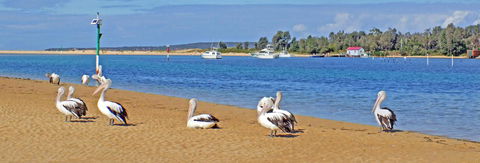 Pelican Motor Inn - Accommodation Australia 29