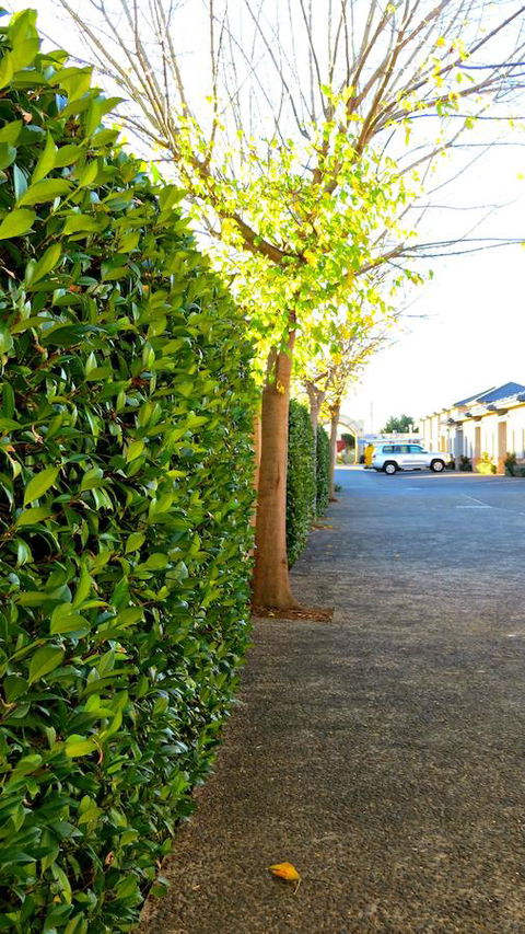 Best Western Plus Goulburn - Accommodation Australia 37
