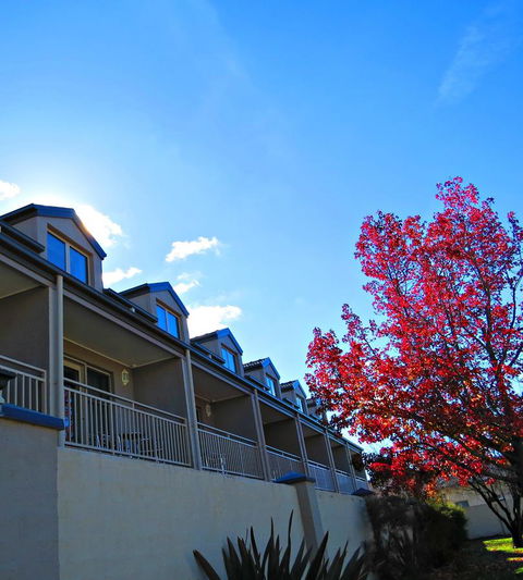 Best Western Plus Goulburn - Accommodation Australia 9