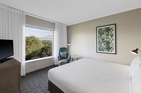Vibe Hotel Rushcutters Bay Sydney - Local Tourism 42