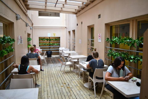 Maze Backpackers - Sydney - Local Tourism 3