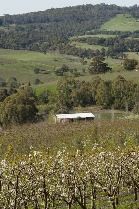 Borrodell Vineyard - Accommodation Australia 30