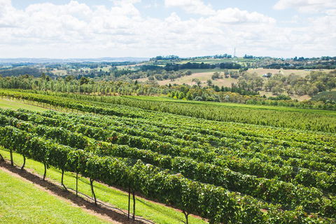 Borrodell Vineyard - Accommodation Australia 29