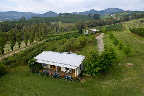 Borrodell Vineyard - Accommodation Australia 2