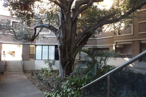 Fiori Apartments - Accommodation Australia 32