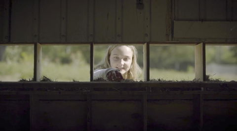 The Woods Farm Jervis Bay - Australia Shopping 11