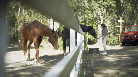 The Woods Farm Jervis Bay - Australia Shopping 13