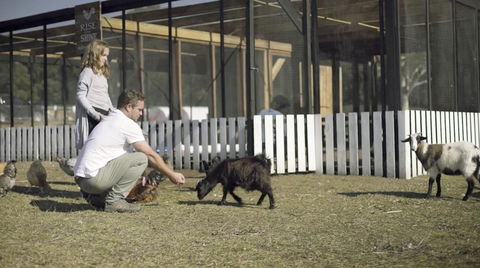 The Woods Farm Jervis Bay - Australia Shopping 14