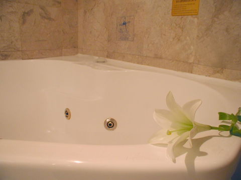 Novotel Sydney Brighton Beach - Local Tourism 11