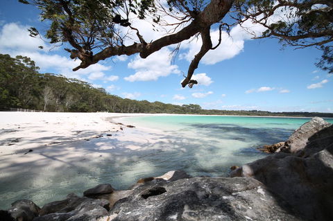 The Edgewater On Greville - Australia Shopping 36