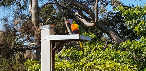 The Edgewater On Greville - Australia Shopping 15