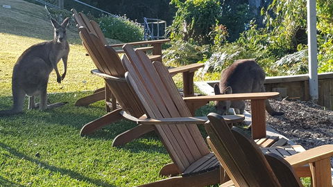 The Edgewater On Greville - Australia Shopping 18