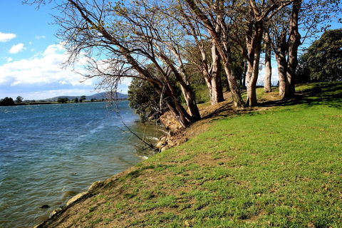 Terara Riverside Retreat - Accommodation Australia 32