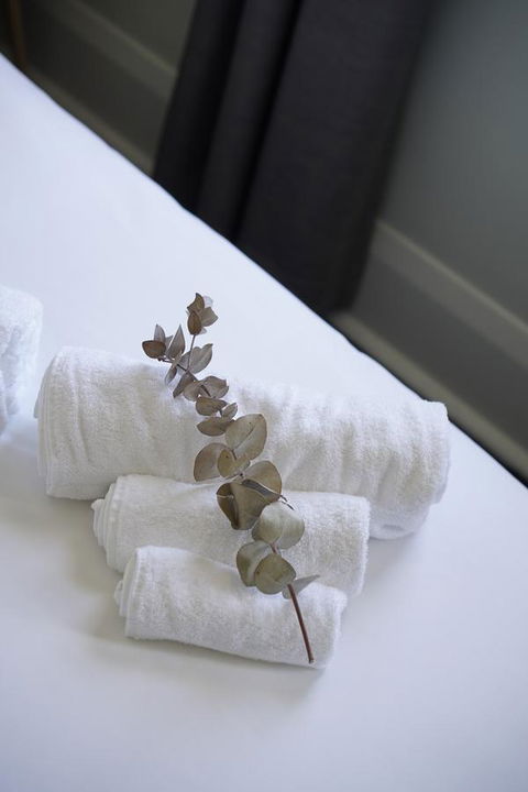 Rosehill Hotel - Accommodation Australia 29