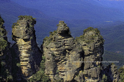 Rest Easy Motel - Local Tourism 44