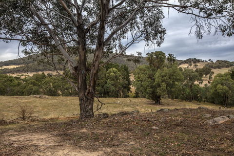 Pound Creek Gallery - Local Tourism 29