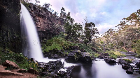Pound Creek Gallery - Local Tourism 14