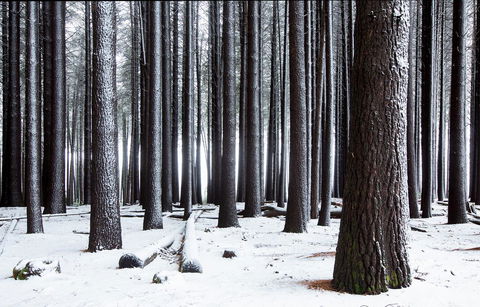 Pound Creek Gallery - Local Tourism 2