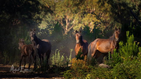Pound Creek Gallery - Local Tourism 18