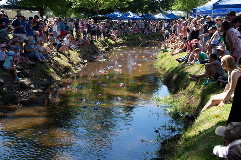 Pound Creek Gallery - Local Tourism 15