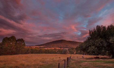 Pound Creek Gallery - Local Tourism 28