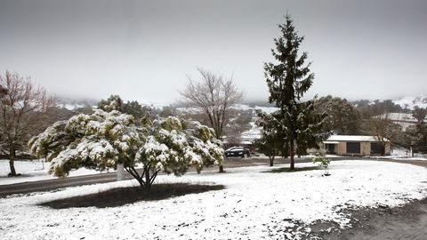 Pound Creek Gallery - Local Tourism 8