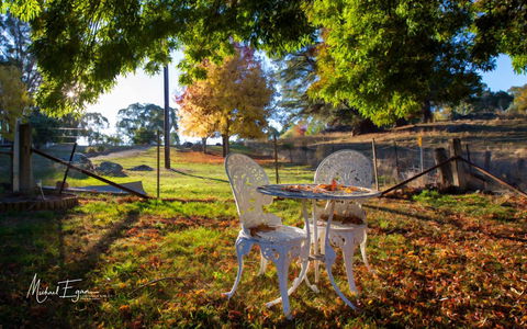 Pound Creek Gallery - Local Tourism 27