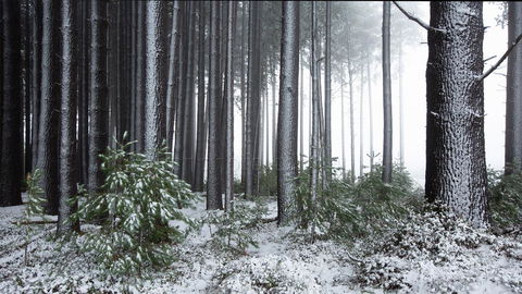 Pound Creek Gallery - Local Tourism 1