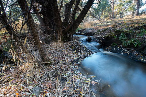 Pound Creek Gallery - Local Tourism 26