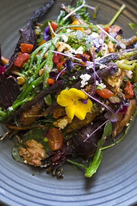 Sage Hotel Wollongong - Accommodation Australia 21