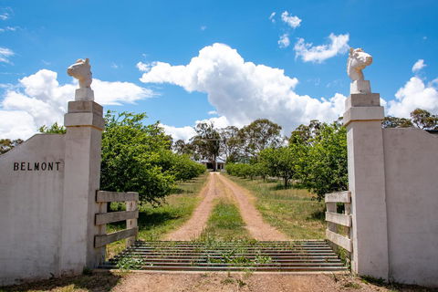 Belmont - Bed n Breakfasts 5