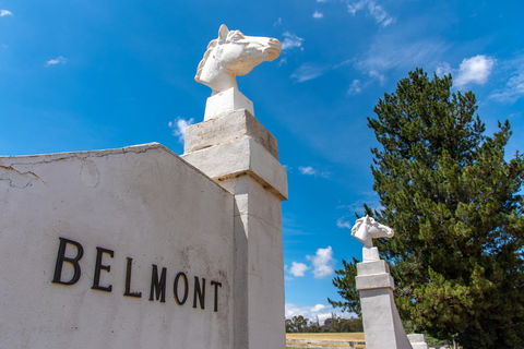 Belmont - Bed n Breakfasts 4