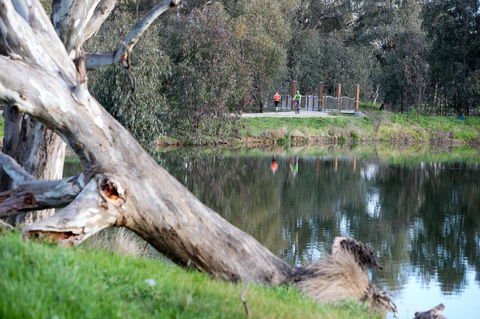 Mercure Albury - Accommodation Australia 15