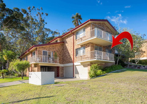 Ronald Avenue 1/65 - Shoal Bay - Local Tourism 11