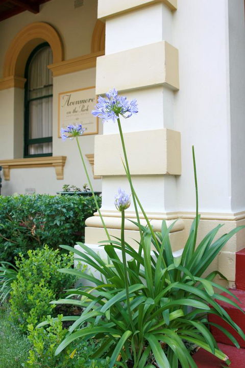 Avonmore On The Park Boutique Hotel - Accommodation Australia 15