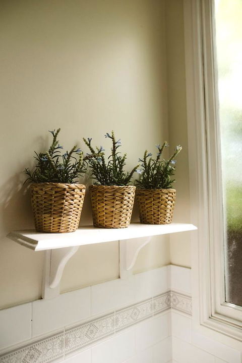 Morpeth Cottage - Accommodation Australia 31
