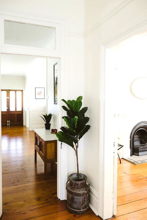 Morpeth Cottage - Accommodation Australia 3