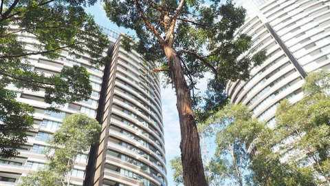 SkyGarden Sydney Olympic Park 3 & 4 Bedroom City View - Bed n Breakfasts 33