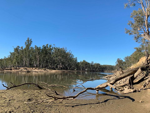 Corowa Bindaree Holiday Park - Accommodation Australia 1