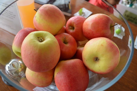 The Apple Inn - Australia Shopping 12