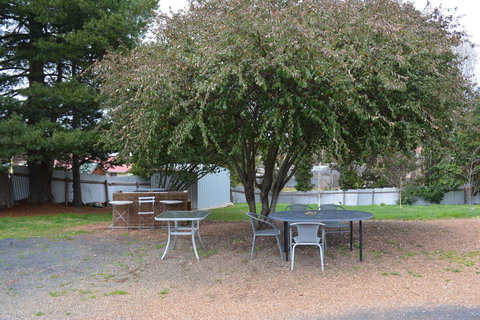 The Apple Inn - Australia Shopping 39